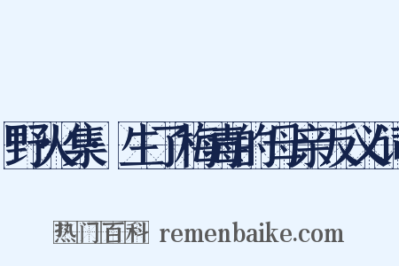 野火集·生了梅毒的母亲反义词是什么意思的图片